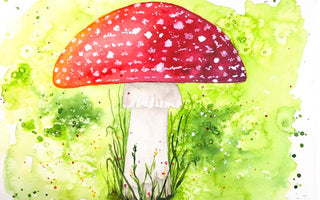 How to paint whimsical mushroom in watercolor