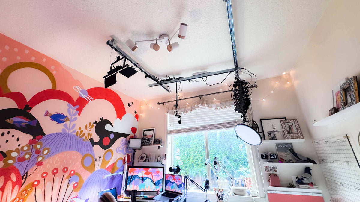 Studio Update: I hung my camera and lighting from the ceiling