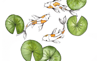 How to Draw Koi Fish: A Step-by-step Guide