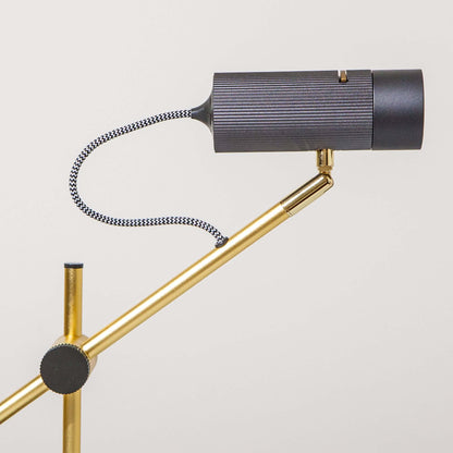 CANVAS Focus Light