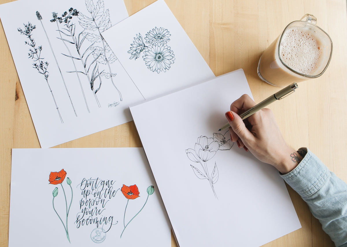 botanical line drawing book
