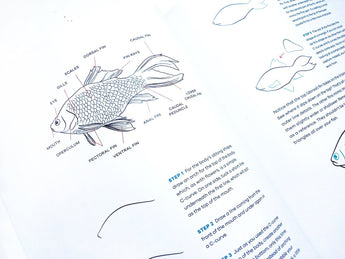 fish anatomy drawing