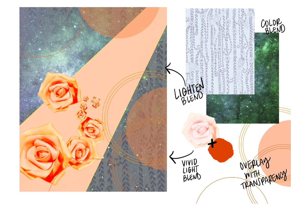 how to draw botanicals easy for beginners