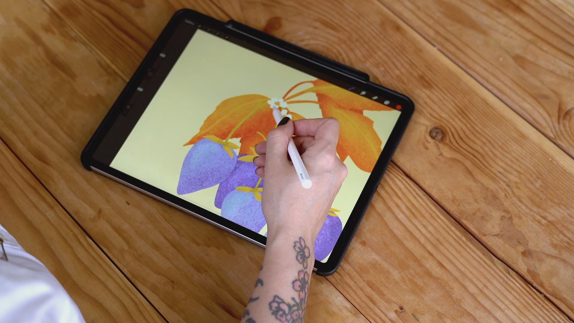 digital illustration in procreate