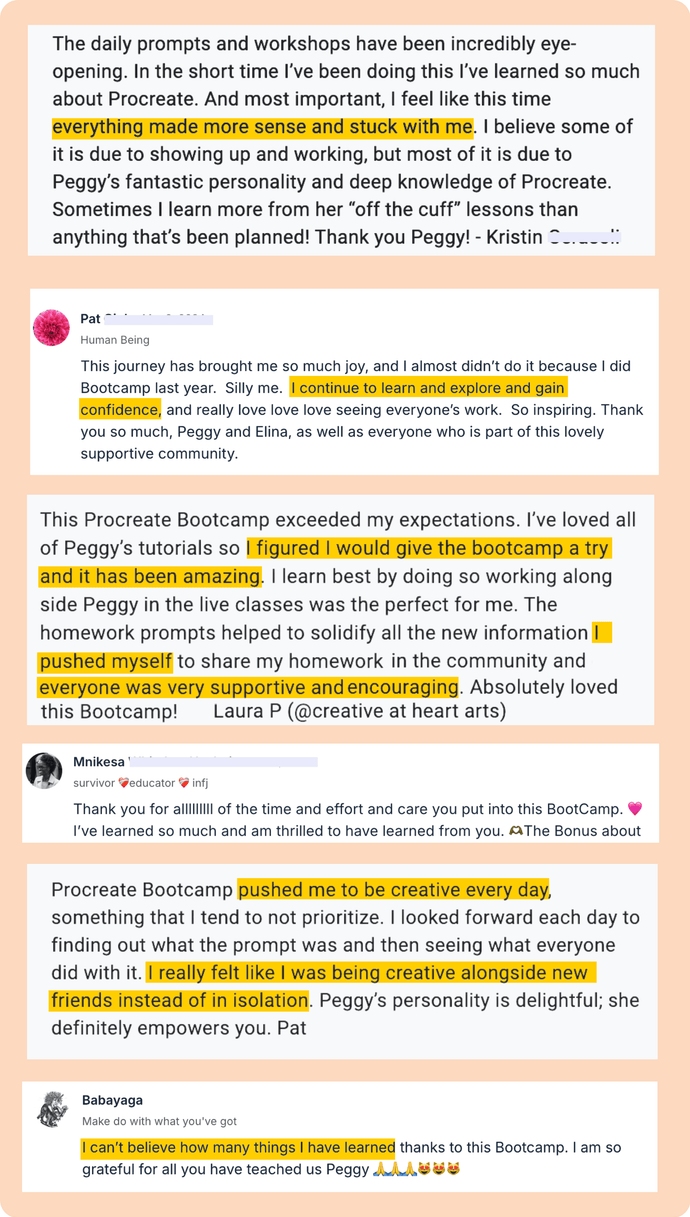procreate bootcamp reviews