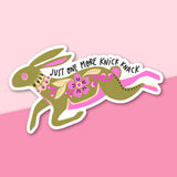 rabbit sticker funny knick knacks