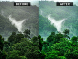 Lightroom Presets - Rainforest - A Tropical Misty Theme - The Pigeon Letters