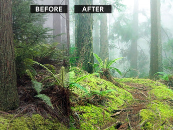 Lightroom preset before and after