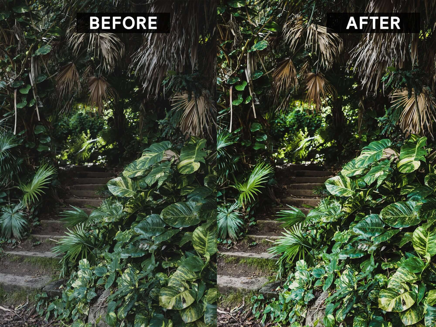Lightroom preset before and after