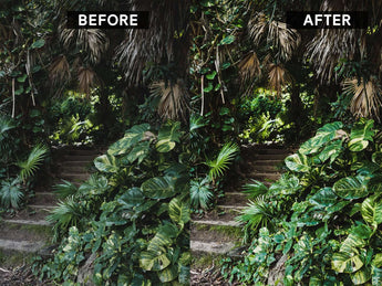 Lightroom preset before and after