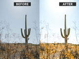 Lightroom preset before and after