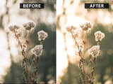 Lightroom preset before and after