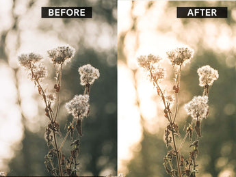 Lightroom preset before and after