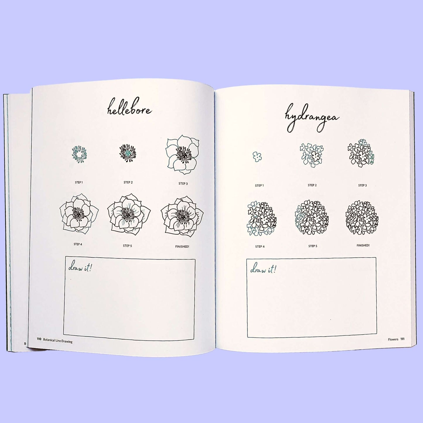 How to draw flowers using line art