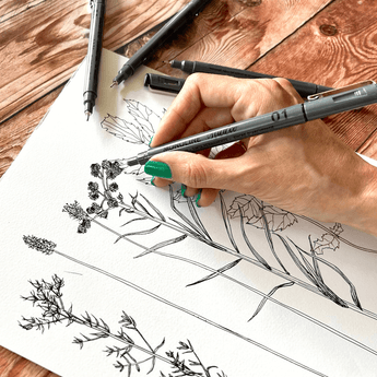 Line drawing nature elements