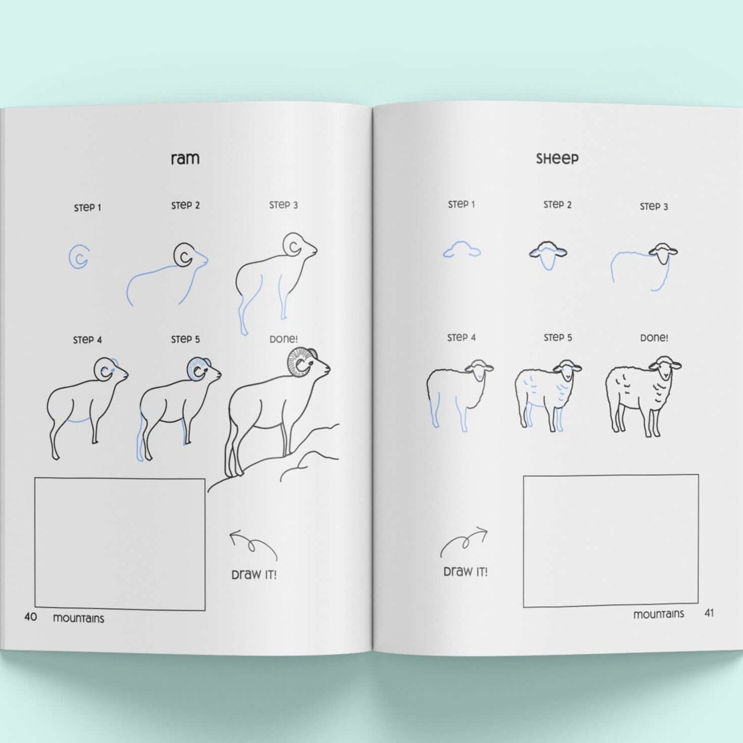 How to draw a sheep with step-by-step instructions
