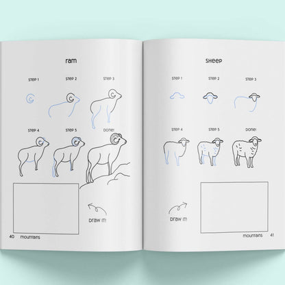 How to draw a sheep with step-by-step instructions